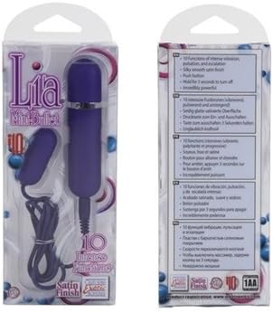 Mini bullet 10 Function Metal Bullet Purple